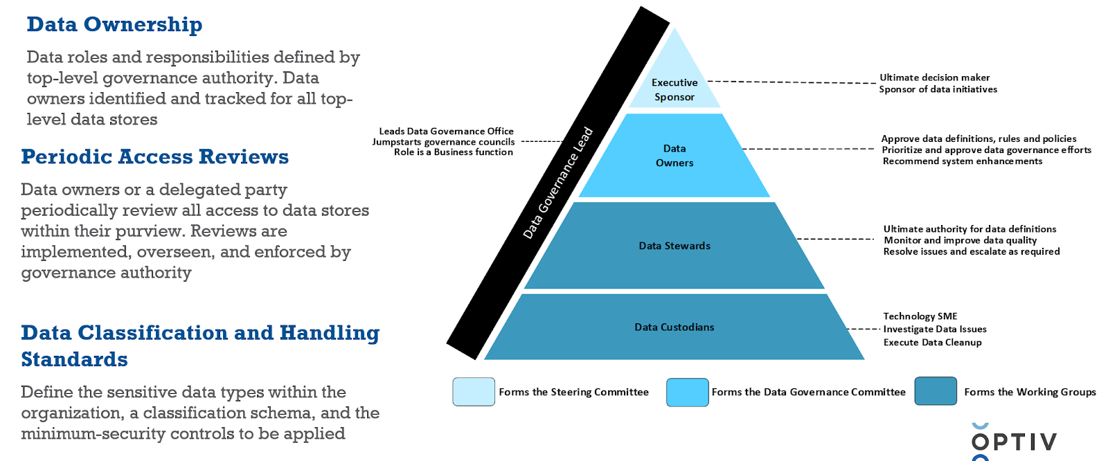 Data Governance Leads