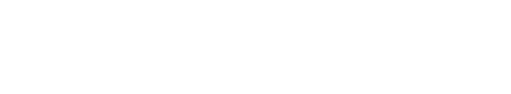 Palo Alto White Logo