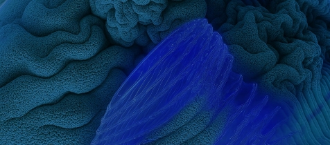 Baddie-Betty-Is-not-Real-Blog-list-image