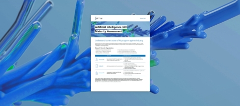 ai-maturity-assessment-list-image